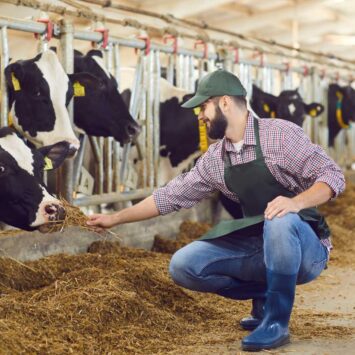 Optimer din kvægstald med den korrekte loftventilator